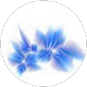 Claudia Stancu profile picture